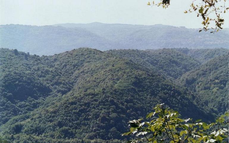Parco naturale regionale Serre