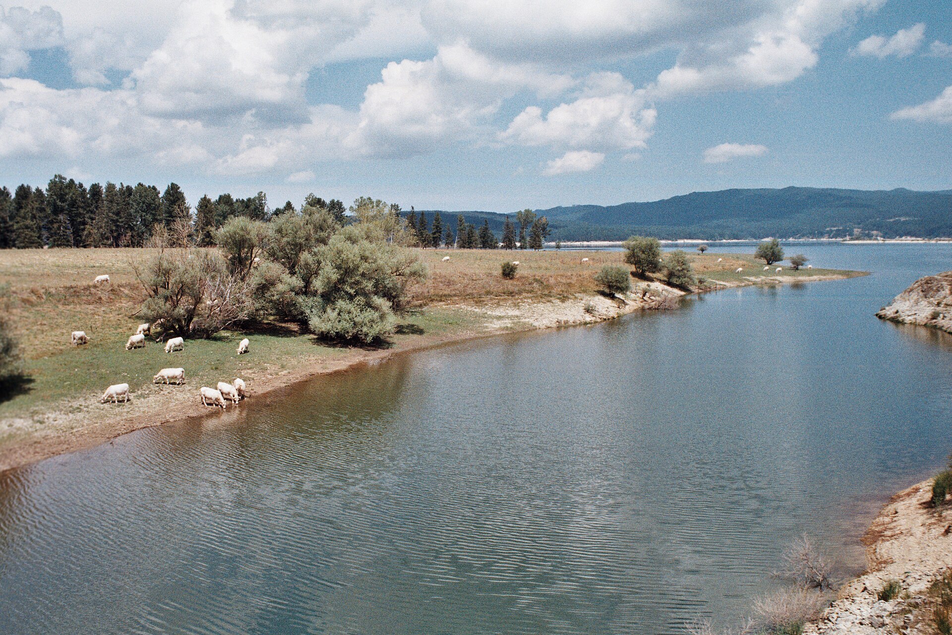 Parco nazionale della Sila